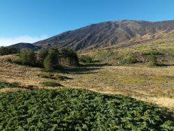 Casa Gallida Excursion sur l'Etna