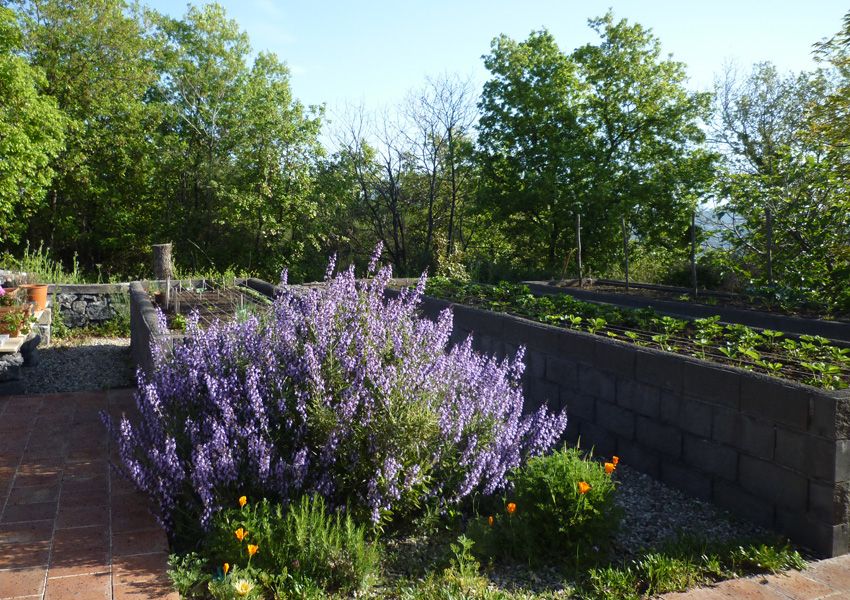 Casa Gallida JARDINS