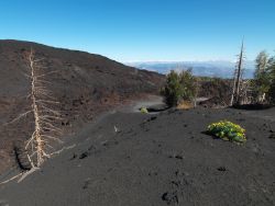 Casa Gallida Excursion sur l'Etna