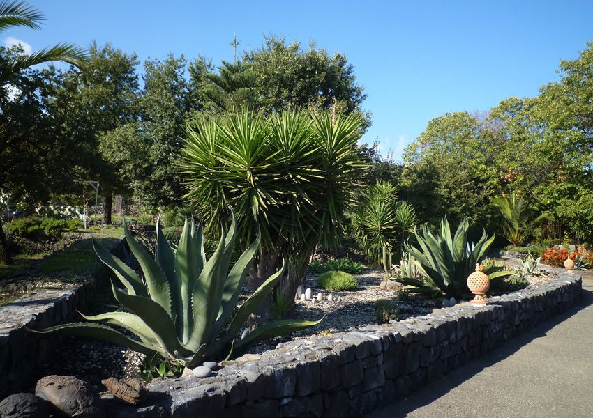 Casa Gallida JARDINS